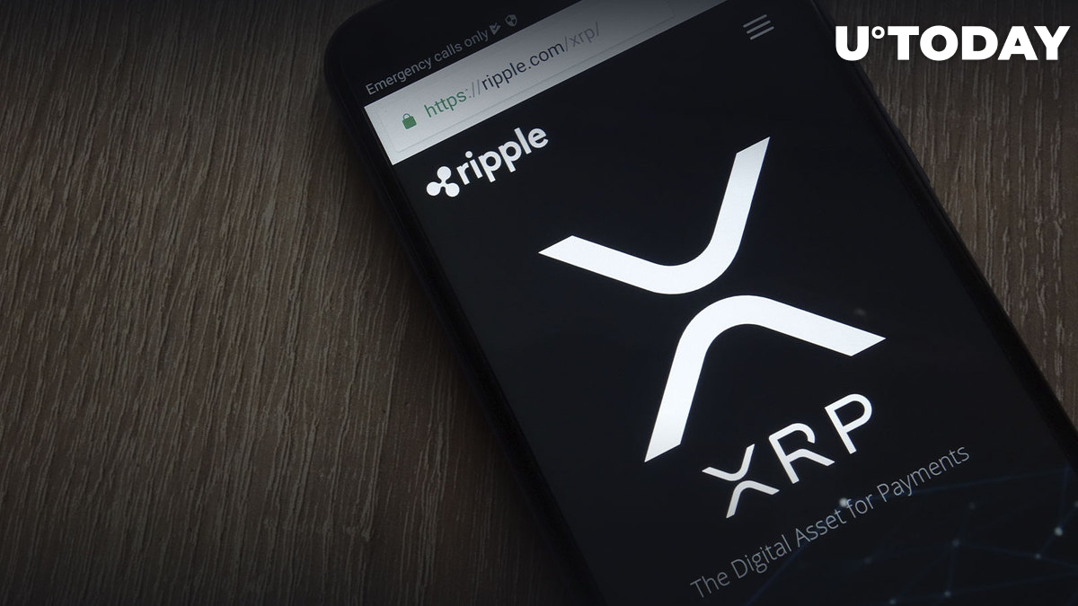 این معامله گر اصرار دارد که XRP بیشترین تنظیمات صعودی را در کریپتو نشان می دهد